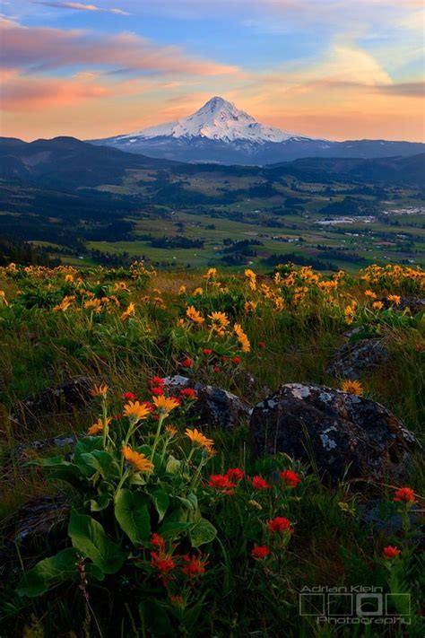 Beautiful Scenery In Oregon