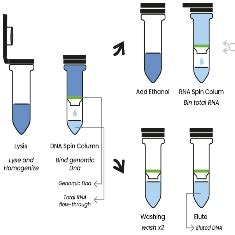 REAL DNA/RNA Purification Kit - Real Laboratory