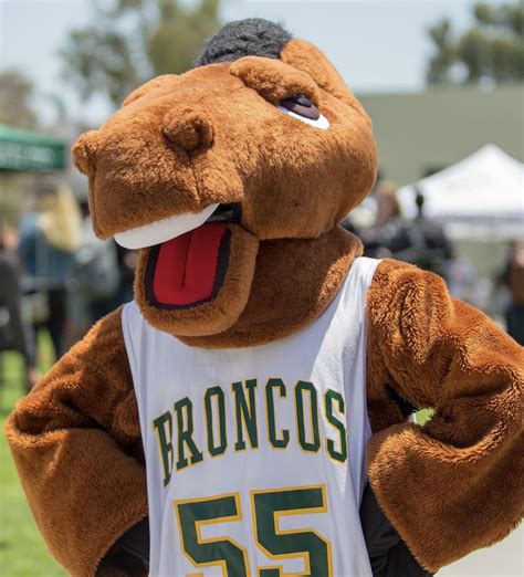 Mascot : r/CalPolyPomona