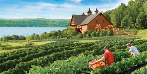 Wegmans Organic Farm & Orchard - Wegmans