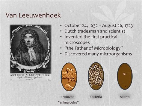 Anton Van Leeuwenhoek And his microscope Michelle ppt download