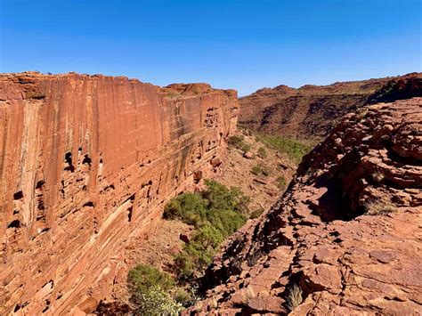 Your KINGS CANYON RIM WALK Guide | Map, Logistics, and More!