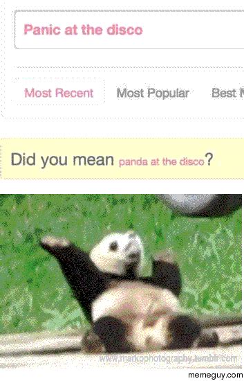 Animated Meme: Panda at the Disco