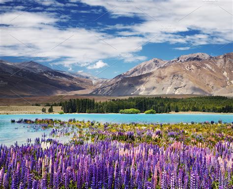 Lake Tekapo, New Zealand | High-Quality Nature Stock Photos ~ Creative ...