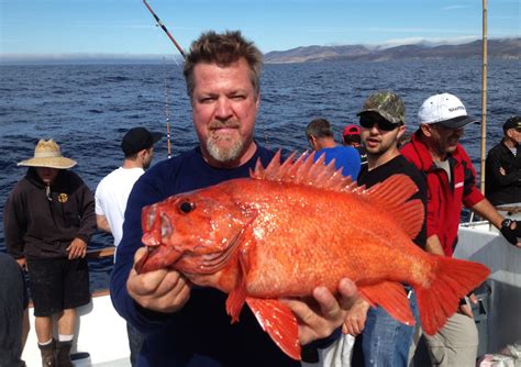 Remembering How To Rockfish | Rockfish Fishing Techniques