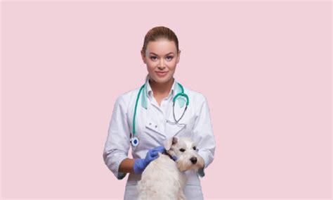 Dog Health Care – One Education