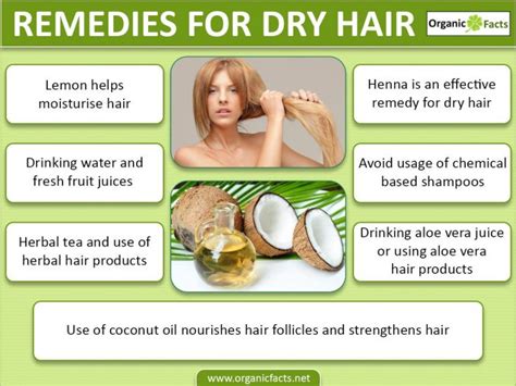 8 Amazing Home Remedies for Dry Hair | Organic Facts