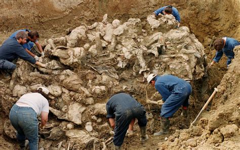 I LOVE BOSNIA VOLIM TE: INTERNATIONAL CAMPAIGN TO END BOSNIAN GENOCIDE ...