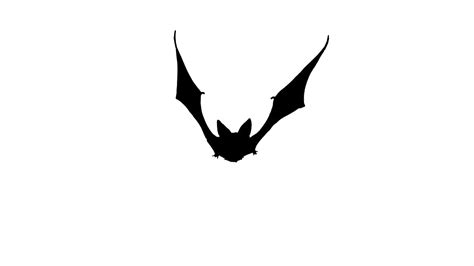 Bat clipart animation, Bat animation Transparent FREE for download on ...