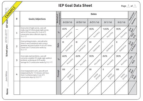 Practical Tips for Better IEP Goals and Data Collection - Brookes Blog