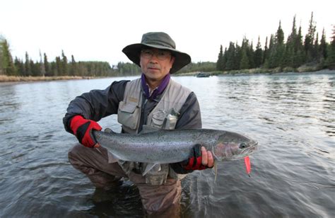 Soldotna B&B Lodge and Alaska Fishing Charters (Soldotna, AK) - Resort ...