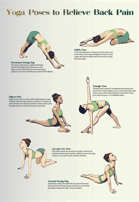 Schon Iyengar-yoga-exercises-for-lower-back-pain-part-1/