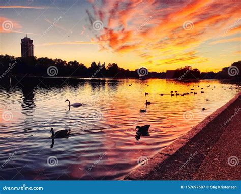 Sunset Over Lake Serpentine in Hyde Park London Stock Image - Image of ...