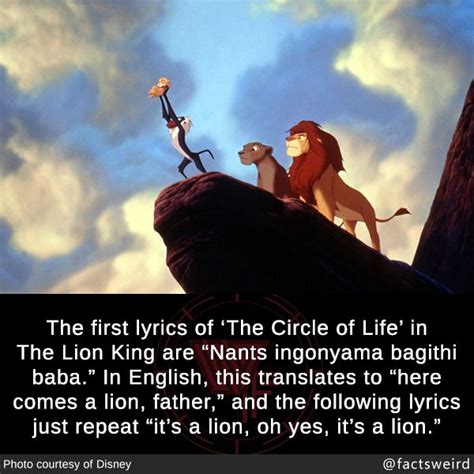 Circle of life lyrics lion king - verypsawe