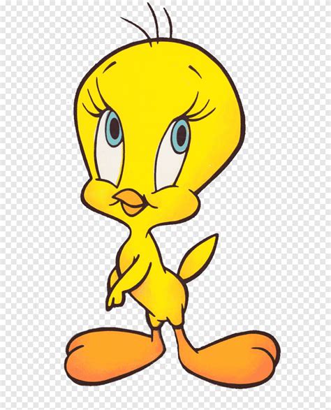 Tweety Cartoon Sylvester Drawing, caricature, logo, flower png | PNGEgg