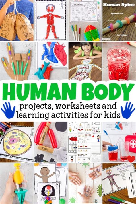 parts of the body worksheets k5 learning - my body online kindergarten ...