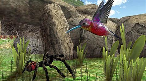 Hummingbird simulator 3D for Android - Download APK free