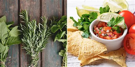 A Complete Guide To Essential Mexican Herbs That Take Their Dishes To ...