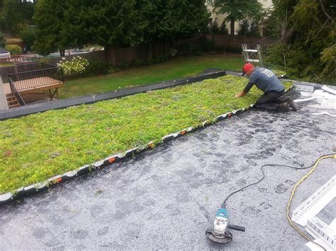 Green Roof Installation - BestWest Group