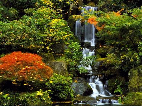 Jardines Japones | Jardines japoneses, Jardines, Cascadas para jardin