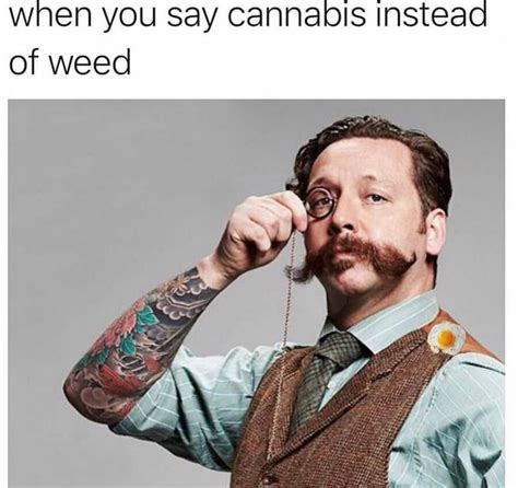 List 4 funny weed memes best, you should know - SESO OPEN