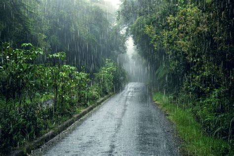 Discover the beauty and wonder of Mawsynram - the wettest place on earth