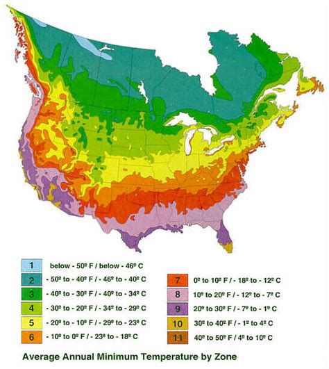 Zone 6 Plants Map - Sibby Dorothee