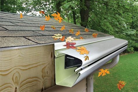 Gutter Guards, Leaf Guards, & Leaf Filters: Do they really work?