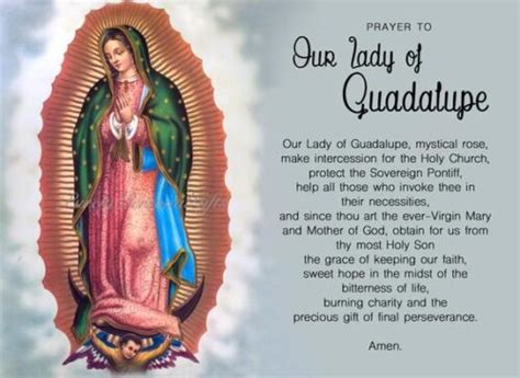 2021: Our Lady Of Guadalupe Novena (Guide and Prayer Points) - Church ...