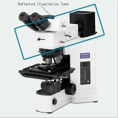 Reflected Light Microscope