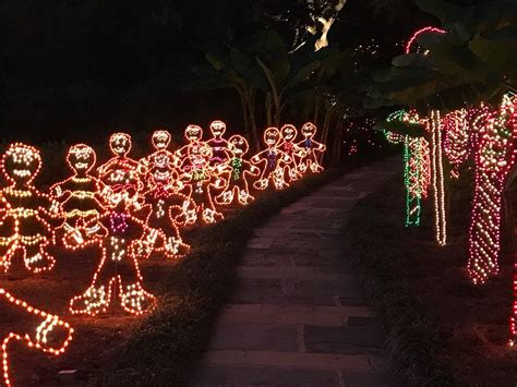 Bellingrath Gardens Christmas Lights | Christmas Crafts 2020