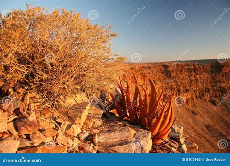 Sunset in Fish River Canyon- Stock Image - Image of park, aloe: 5102963