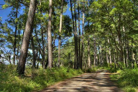 Exploring Botany Bay in South Carolina – History, Directions, and ...