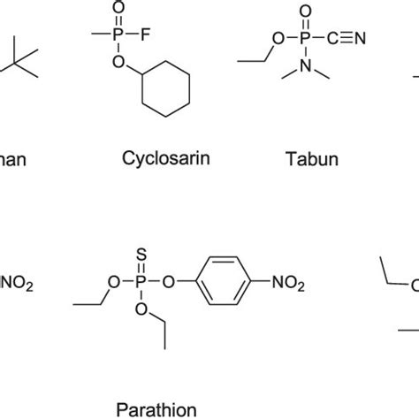 6: The inhibition mechanism of AChE by organophosphate nerve agents ...