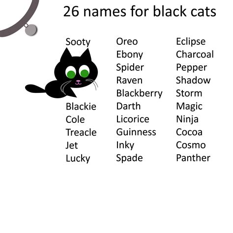 Cat care tips black cat names for your your black cat. | Names for ...