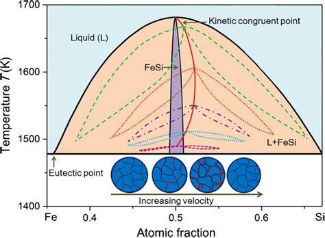 Schematic kinetic phase diagrams for a non-stoichiometric FeSi ...