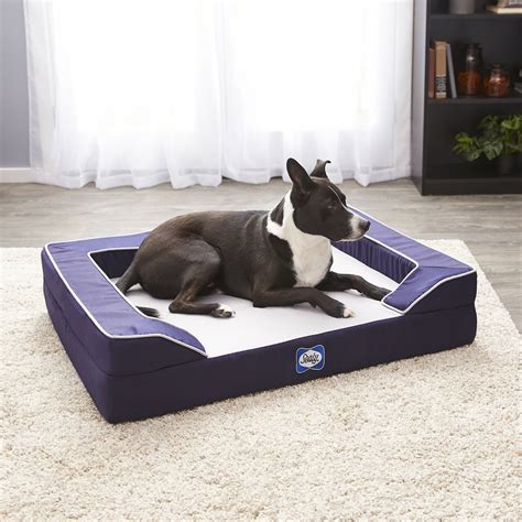 Sealy Lux Premium Orthopedic Dog Bed, Medium, Navy - Chewy.com