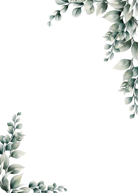 Eucalyptus Leaf Frame Border Design Eucalyptus Frame Template Png My ...