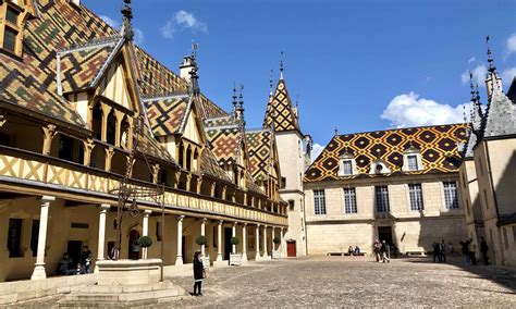 Dog Friendly Beaune, France : DOG FRIENDLY TRAVEL