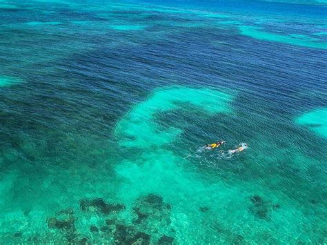 Plan Your Florida Keys Snorkeling Vacation | Vacasa