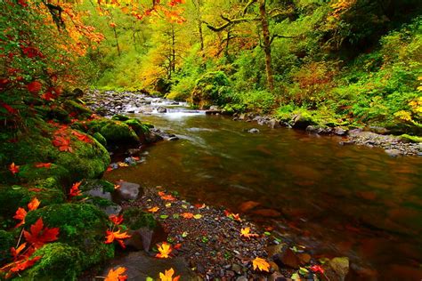 20 Stunning Photos Of Oregon's Fall Foliage | That Oregon Life