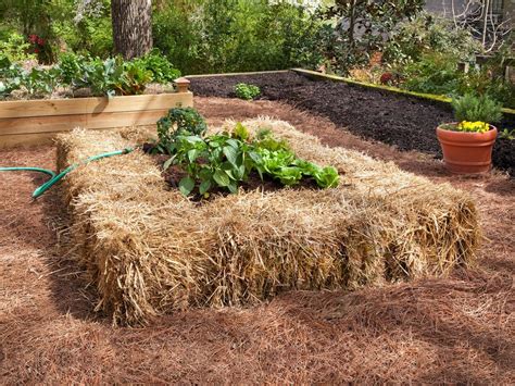 Straw Bale Gardening Tips | HGTV