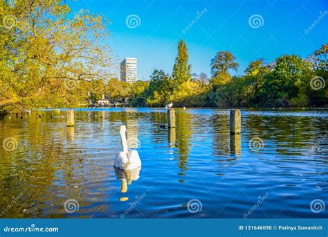 Serpentine Lake in Hyde Park, England Stock Photo - Image of pond, long ...