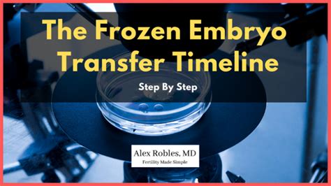 The IVF Frozen Embryo Transfer Timeline Explained (Step by Step) - Alex ...