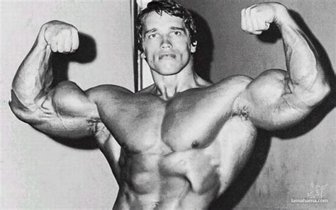 Young Arnold Schwarzenegger