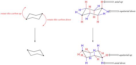 3.3 Conformation of Cyclohexane - Chemistry LibreTexts