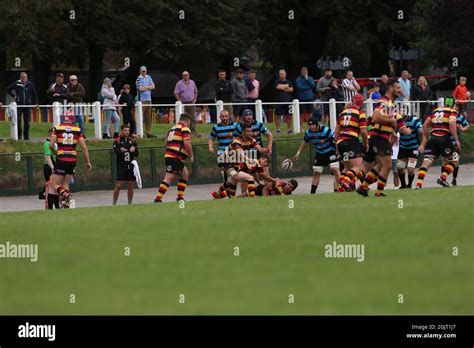 Carmarthen Quins RFC Stock Photo - Alamy