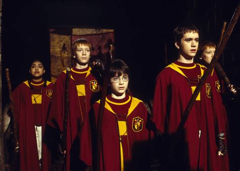 Gryffindor Quidditch Team | Harry potter facts, Harry potter quiz, Hard ...