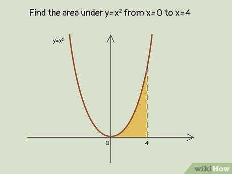 How to Find the Area Under a Curve: Instructions & 7 Examples