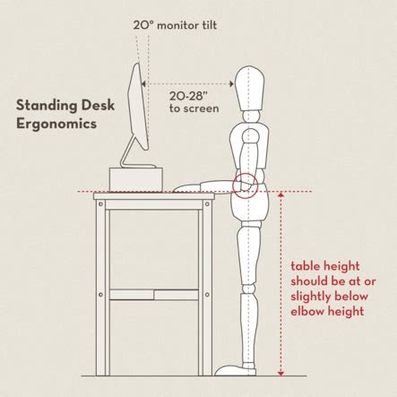 posture - Proper ergonomics for a standing desk? - Physical Fitness ...